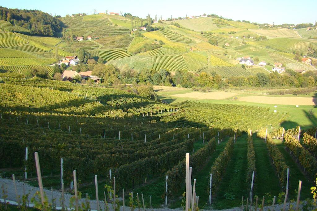 Farm Stay Jarc Vineyard Svecina Luaran gambar