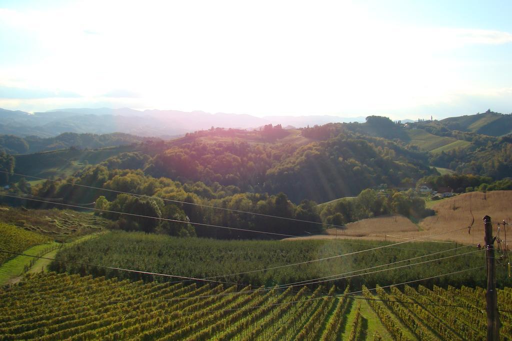 Farm Stay Jarc Vineyard Svecina Luaran gambar