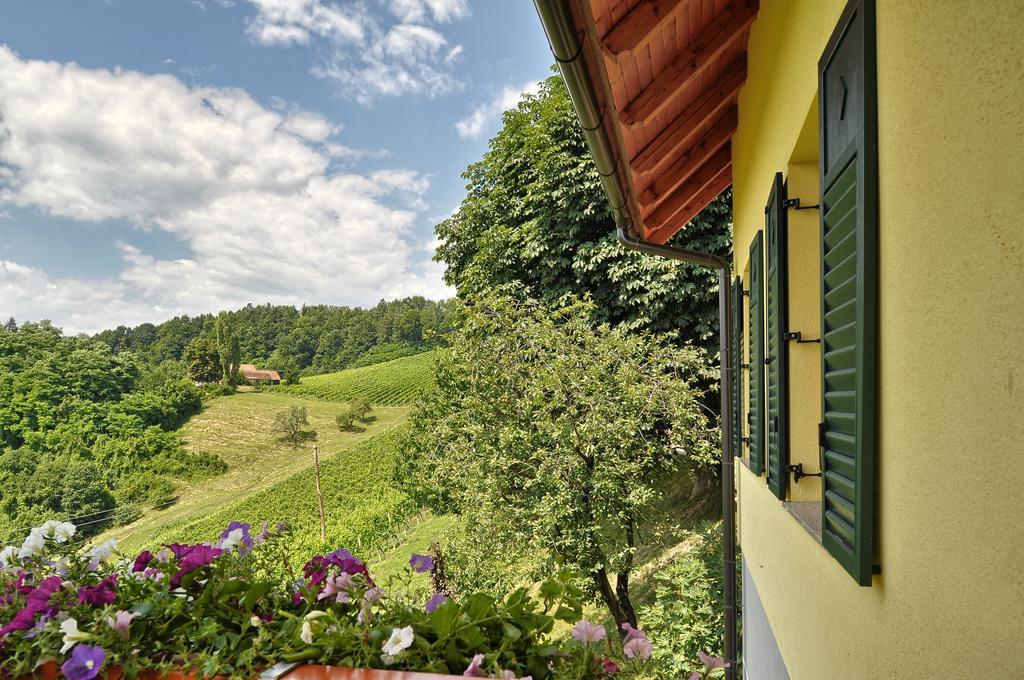 Farm Stay Jarc Vineyard Svecina Luaran gambar