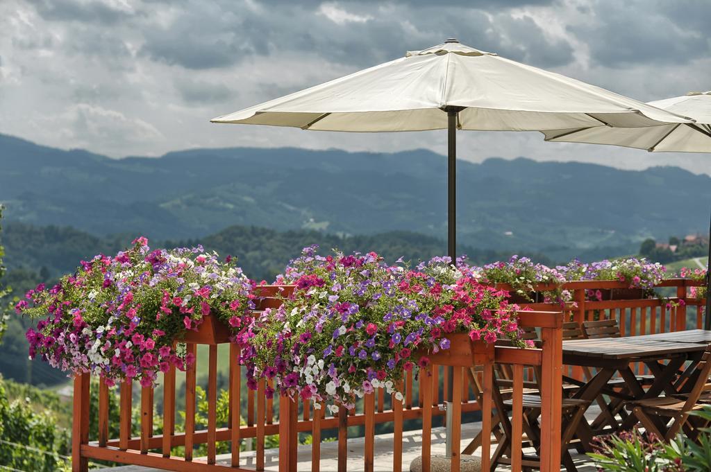 Farm Stay Jarc Vineyard Svecina Luaran gambar
