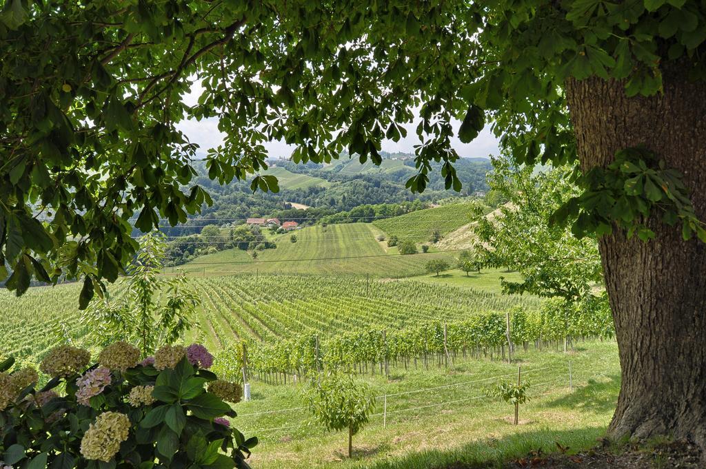 Farm Stay Jarc Vineyard Svecina Luaran gambar