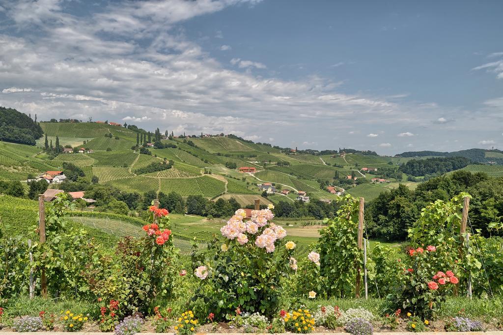 Farm Stay Jarc Vineyard Svecina Luaran gambar