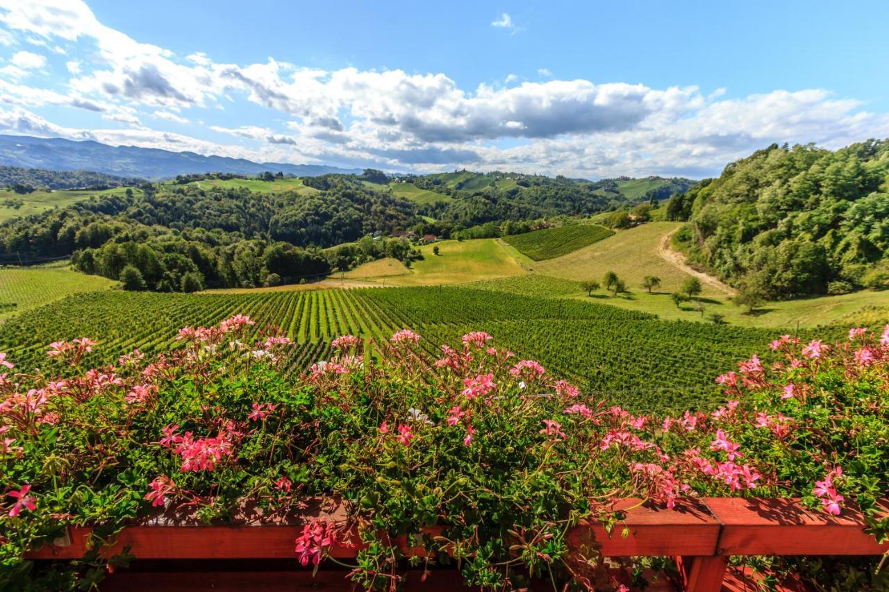 Farm Stay Jarc Vineyard Svecina Luaran gambar