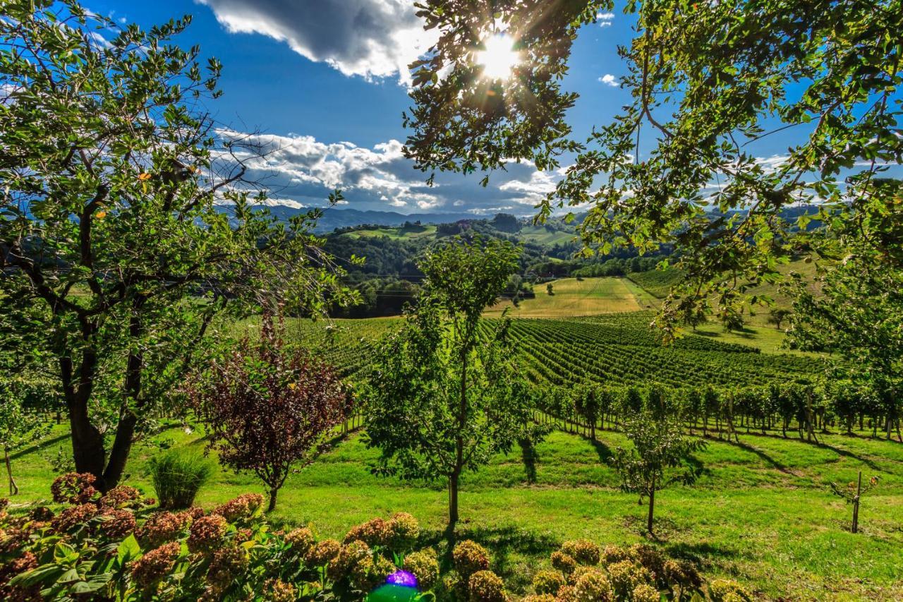 Farm Stay Jarc Vineyard Svecina Luaran gambar